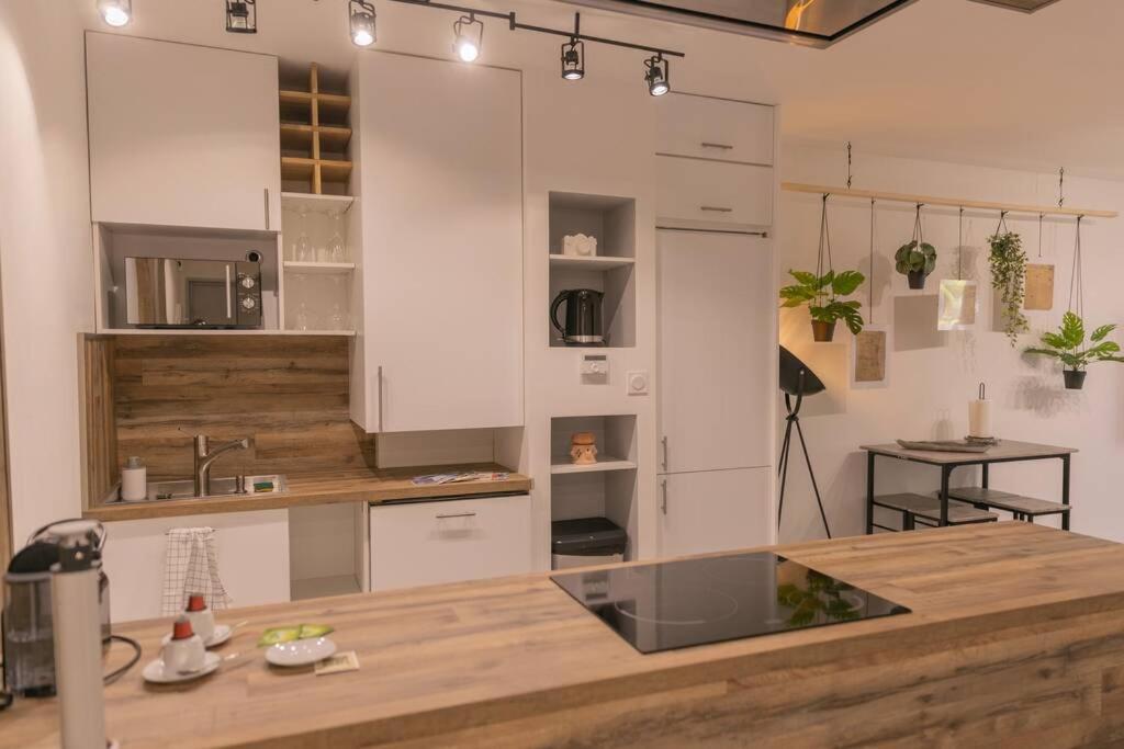 Superbe Appart Plein Centre Avec Parking & Jardin Мец Екстериор снимка